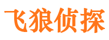 石林市私家侦探公司